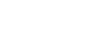 Logo Partner