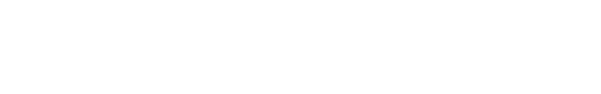 Logo Partner
