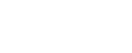 Logo Partner