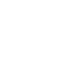 Logo Partner