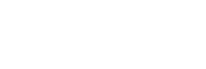 Logo Partner